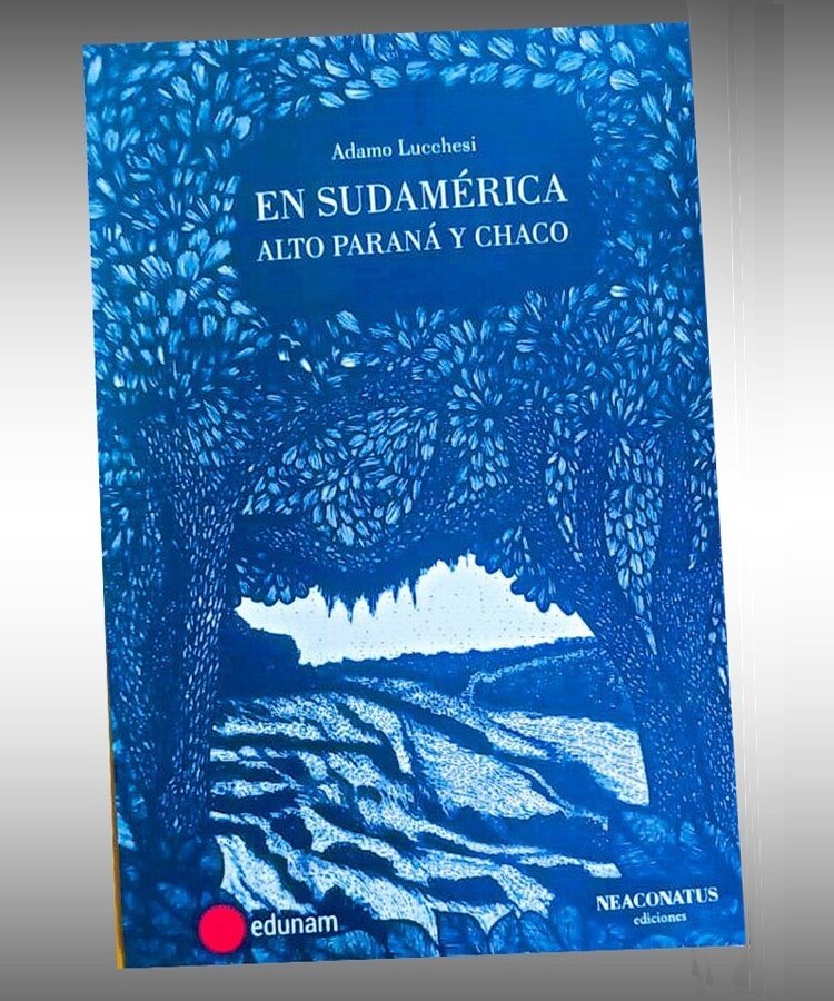 Portada del cuarto libro
